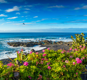Küste von Teneriffa mit schwarzem Lavagestein, bunten Blumen im Vordergrund und dem tiefblauen Atlantik unter einem wolkigen Himmel.