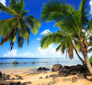 Tropischer Sandstrand auf Hawaii mit Palmen, schwarzen Lavasteinen und klarem, türkisfarbenem Wasser unter blauem Himmel.