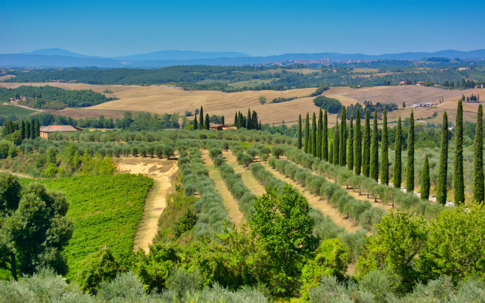 Ausblick auf die Toskana