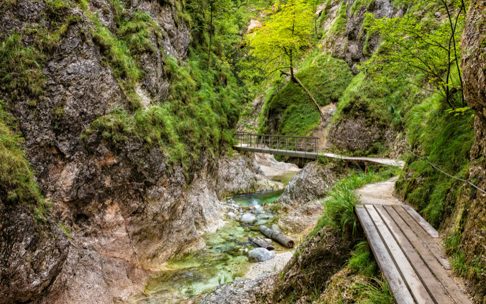 Befestigte Stege an den grünen Felswänden der Almbachklamm.