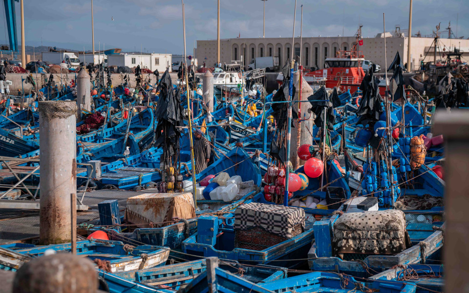 Dicht aneinandergereihte blaue Fischerboote mit bunten Bojen und Netzen im geschäftigen Hafen von Essaouira, Marokko.