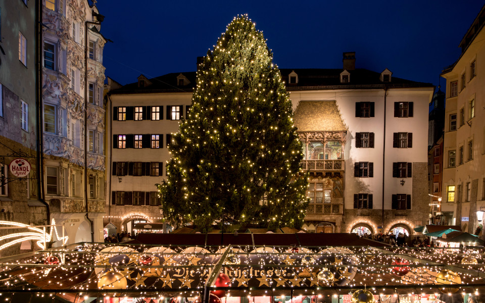 Weihnachtsmarkt in Innsbruck mit großem beleuchtetem Christbaum vor dem Goldenen Dachl in der Altstadt bei Nacht